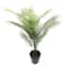 3ft. Potted Green Areca Palm Tree by Ashland&#xAE;